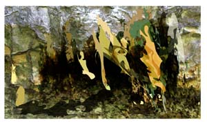 g2006-08-09f turkey run