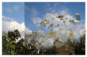 g2006-08-15i clouds and trees