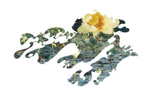 g9-3d-01 lily shapes